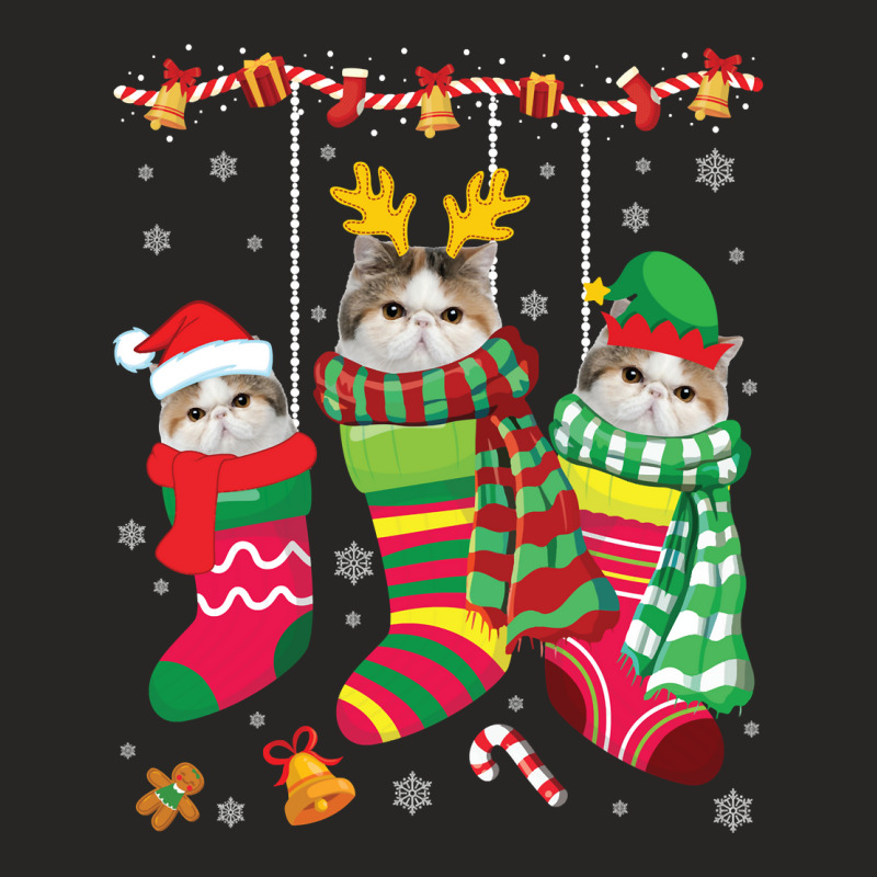 Three Exotic Shorthair Cats Inside Christmas Socks Merry Pullover Hood Ladies Fitted T-Shirt by tamkyfashions | Artistshot