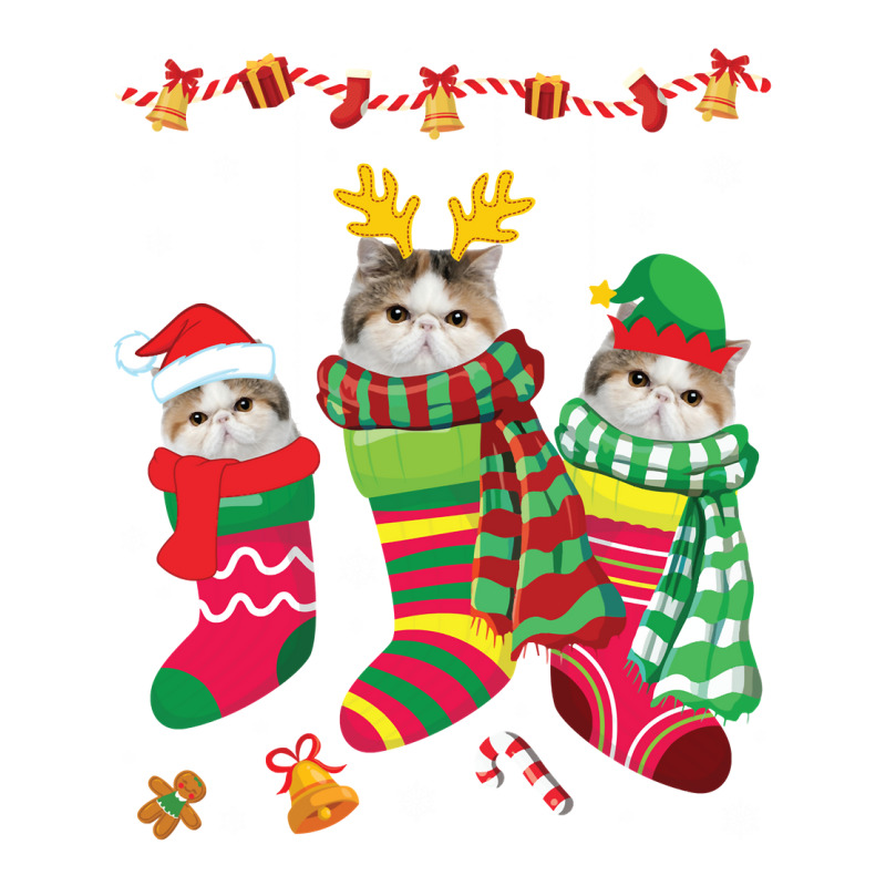 Three Exotic Shorthair Cats Inside Christmas Socks Merry Pullover Hood Maternity Scoop Neck T-shirt by tamkyfashions | Artistshot