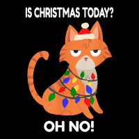 Kitten Is Christmas Today Noved Cat Christmas T Shirt Youth Hoodie | Artistshot