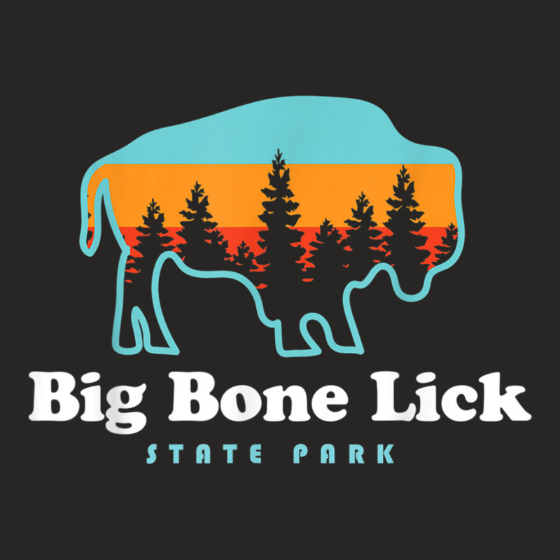 Big Bone Lick State Park Kentucky Bison Fossils Ladies Fitted T-Shirt by ZaraGross | Artistshot