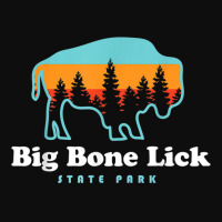 Big Bone Lick State Park Kentucky Bison Fossils Crop Top | Artistshot