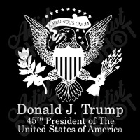 Donald Trump Presidential Seal Usa Baby Tee | Artistshot