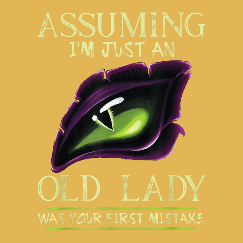 Assuming I'm Just An Old Lady Was Your First Mistake Dragon Vintage Hoodie And Short Set by JusticePeck | Artistshot