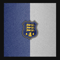 Waterford Fc Pullover Full Set Car Mats | Artistshot