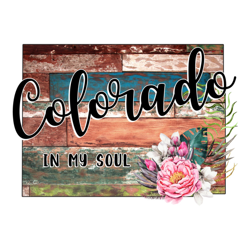 Colorado In My Soul Baby Tee | Artistshot