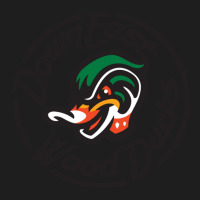 The Down East Wood Ducks Classic T-shirt | Artistshot