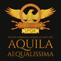 Ancient Rome   Latin Language   The Eagle Is The Most Equal Tank Top Scorecard Crop Tee | Artistshot