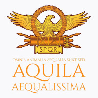 Ancient Rome   Latin Language   The Eagle Is The Most Equal Premium T T-shirt | Artistshot