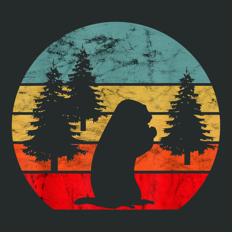 Marmot Rodent Woodchuck Retro Vintage Sunset Groundhog T Shirt Women's Triblend Scoop T-shirt by cm-arts | Artistshot