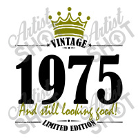Vintage 1975 And Still Looking Good V-neck Tee | Artistshot