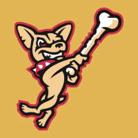 El Paso Chihuahuas Vintage Hoodie And Short Set | Artistshot