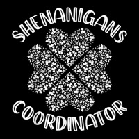 Shenanigans Coordinator Funny St. Patrick's Day Costume T Shirt Lightweight Hoodie | Artistshot