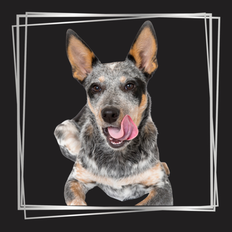 My Blue Heeler Australian Cattle Dog Silver T-Shirt by cm-arts | Artistshot