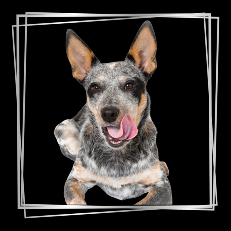 My Blue Heeler Australian Cattle Dog Silver V-Neck Tee by cm-arts | Artistshot