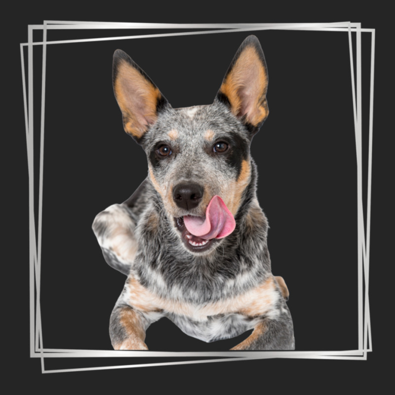 My Blue Heeler Australian Cattle Dog Silver Unisex Hoodie by cm-arts | Artistshot