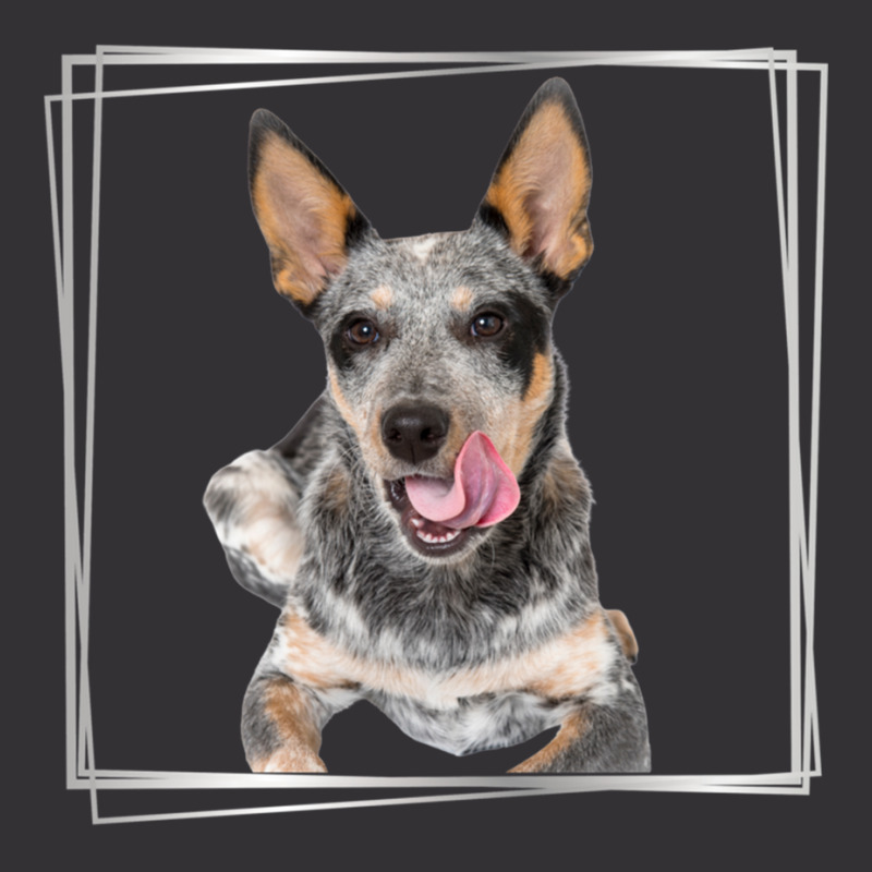 My Blue Heeler Australian Cattle Dog Silver Vintage Hoodie by cm-arts | Artistshot