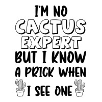 I_m No Cactus Expert But I Know A Prick When I See One, Gift Idea, Fun Unisex Hoodie | Artistshot