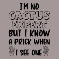 I_m No Cactus Expert But I Know A Prick When I See One, Gift Idea, Fun Vintage Hoodie | Artistshot