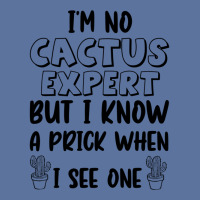 I_m No Cactus Expert But I Know A Prick When I See One, Gift Idea, Fun Lightweight Hoodie | Artistshot