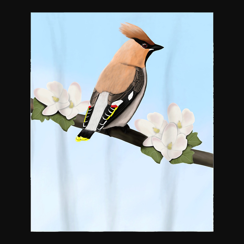 Bohemian Waxwing Bird Birder Birdlover Birdwatcher Biologist Crop Top by cm-arts | Artistshot