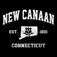 New Canaan Connecticut Ct Vintage State Athletic Style T Shirt Lightweight Hoodie | Artistshot