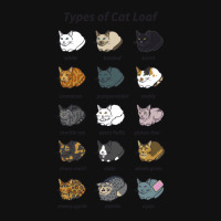 The Types Of Cat Loaf Graphic Youth T-shirt | Artistshot