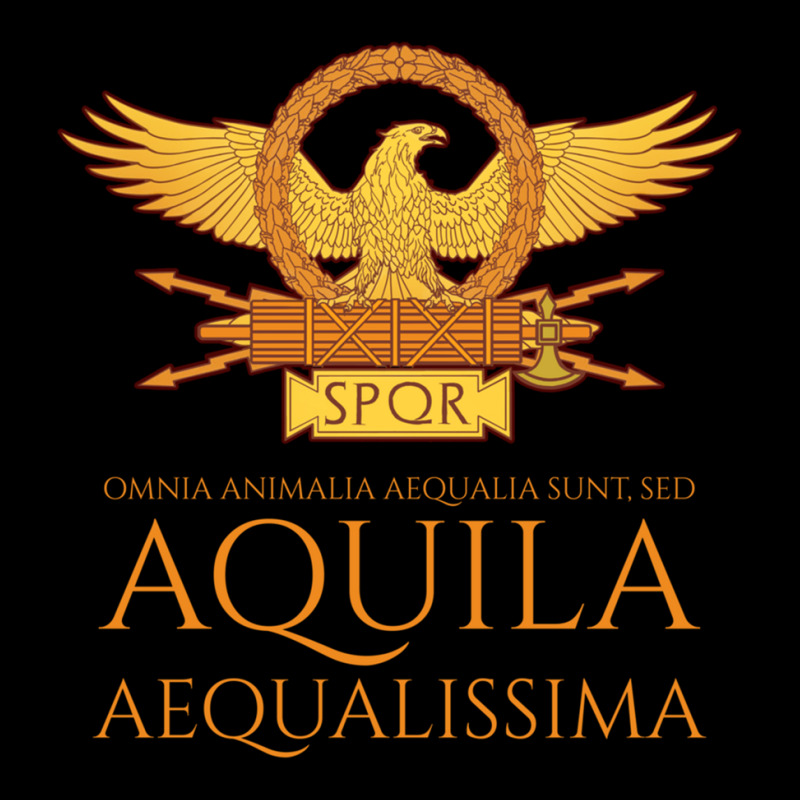 Ancient Rome   Latin Language   The Eagle Is The Most Equal Long Sleev Long Sleeve Shirts by cm-arts | Artistshot