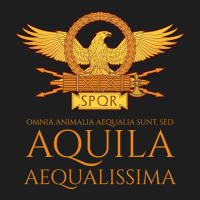 Ancient Rome   Latin Language   The Eagle Is The Most Equal Long Sleev Classic T-shirt | Artistshot