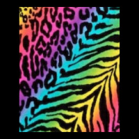 Combination Of Tiger And Cheetah Skin .png Women's V-neck T-shirt | Artistshot