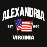 Alexandria Virginia Va Usa Stars & Stripes Vintage Style Premium Scorecard Crop Tee | Artistshot