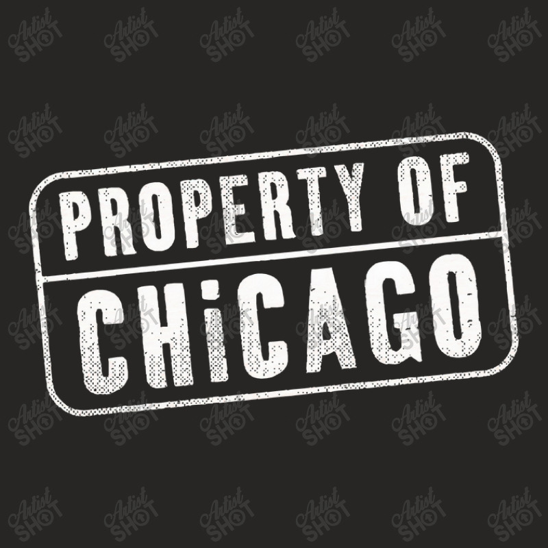 Chicago Illinois Il Property Ladies Fitted T-Shirt by TerriBeverly | Artistshot