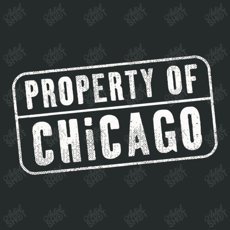 Chicago Illinois Il Property Women's Triblend Scoop T-shirt by TerriBeverly | Artistshot