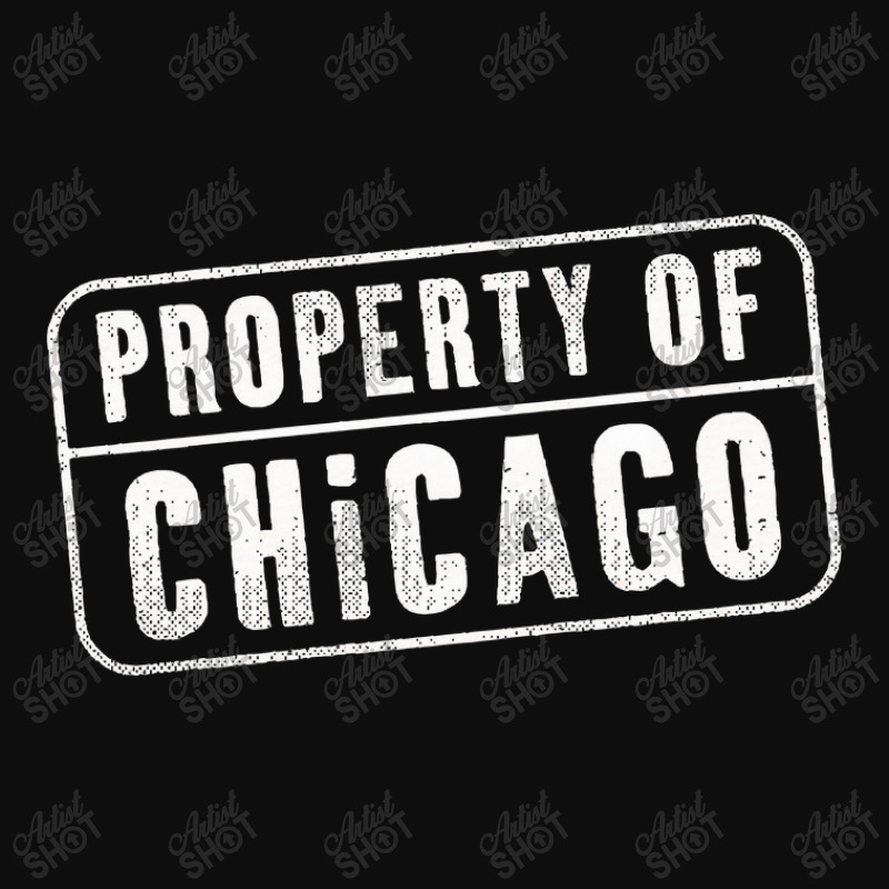 Chicago Illinois Il Property Crop Top by TerriBeverly | Artistshot