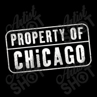 Chicago Illinois Il Property Cropped Hoodie | Artistshot