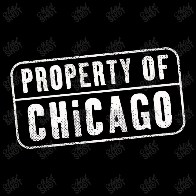 Chicago Illinois Il Property Cropped Sweater by TerriBeverly | Artistshot