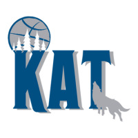 Minnesota's Kat 1 Sticker | Artistshot