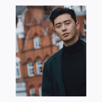 Park Seo Joon Park T-shirt | Artistshot