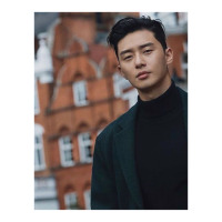 Park Seo Joon Park Zipper Hoodie | Artistshot