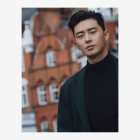 Park Seo Joon Park Classic T-shirt | Artistshot