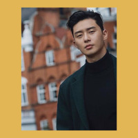 Park Seo Joon Park Vintage Hoodie And Short Set | Artistshot