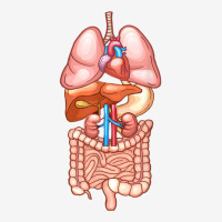 Halloween T Shirt Internal Organ Diagram Anatomy 15 Oz Coffee Mug | Artistshot