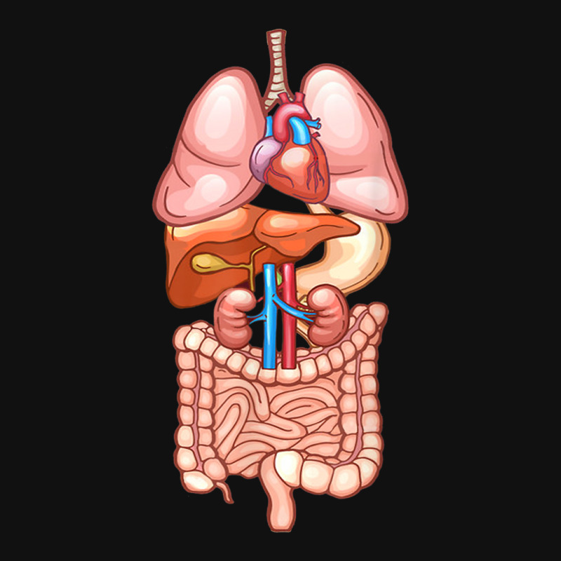 Halloween T Shirt Internal Organ Diagram Anatomy Portrait Canvas Print | Artistshot