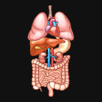 Halloween T Shirt Internal Organ Diagram Anatomy Skinny Tumbler | Artistshot