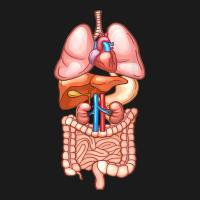 Halloween T Shirt Internal Organ Diagram Anatomy Full-length Apron | Artistshot