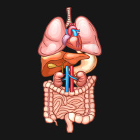 Halloween T Shirt Internal Organ Diagram Anatomy Medium-length Apron | Artistshot