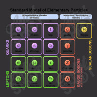 Particles Standard Model Higgs Boson Physics Teacher Student Vintage Short | Artistshot