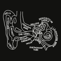 Inner Ear Audiology Audiologist Vestibular Therapist Medical Copy Scorecard Crop Tee | Artistshot