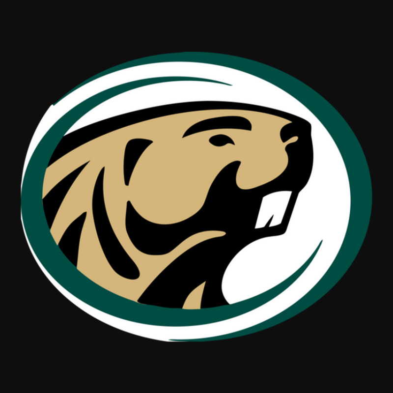 Bemidji State Beavers Crop Top by TimothyManess | Artistshot