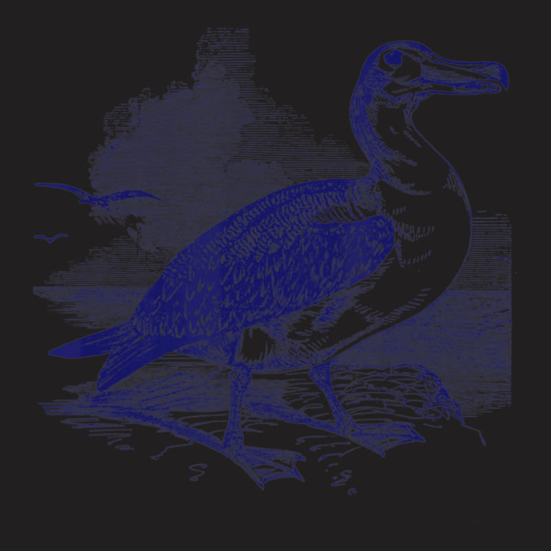 Albatross. Vintage Nature Sea Bird Tee T-Shirt by LynnetteMichele | Artistshot