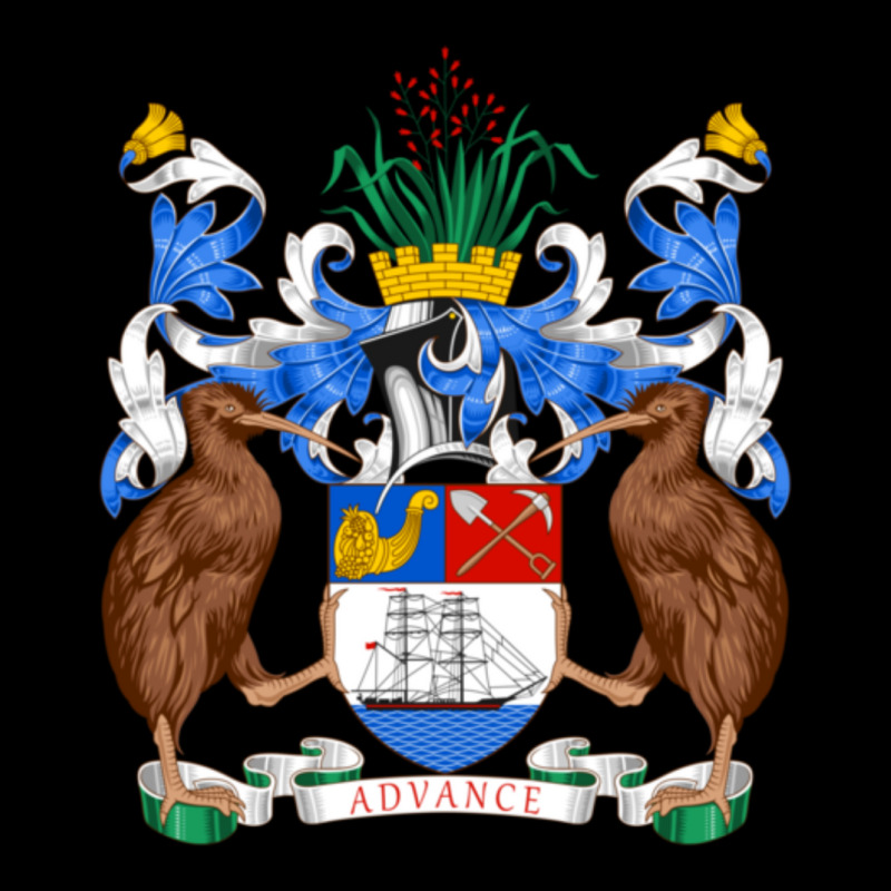 Coat Of Arms Of Auckland City New Zealand Adjustable Cap by karenfisher | Artistshot